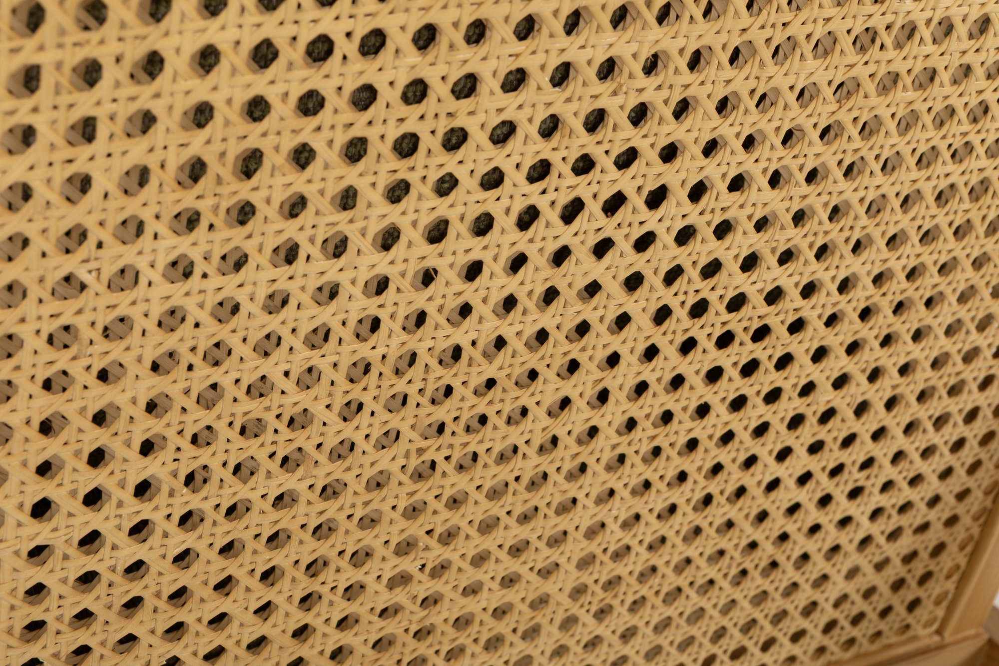 Lucas Lounge Chair with Natural Ash Frame and Forza Sage Fabric - image 5
