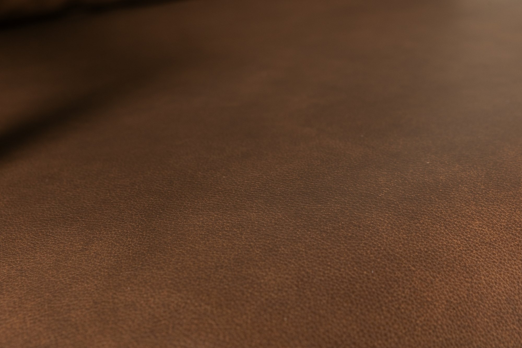 Lucas Lounge Chair with Natural Ash Frame and Courier Brown Leather - image 4