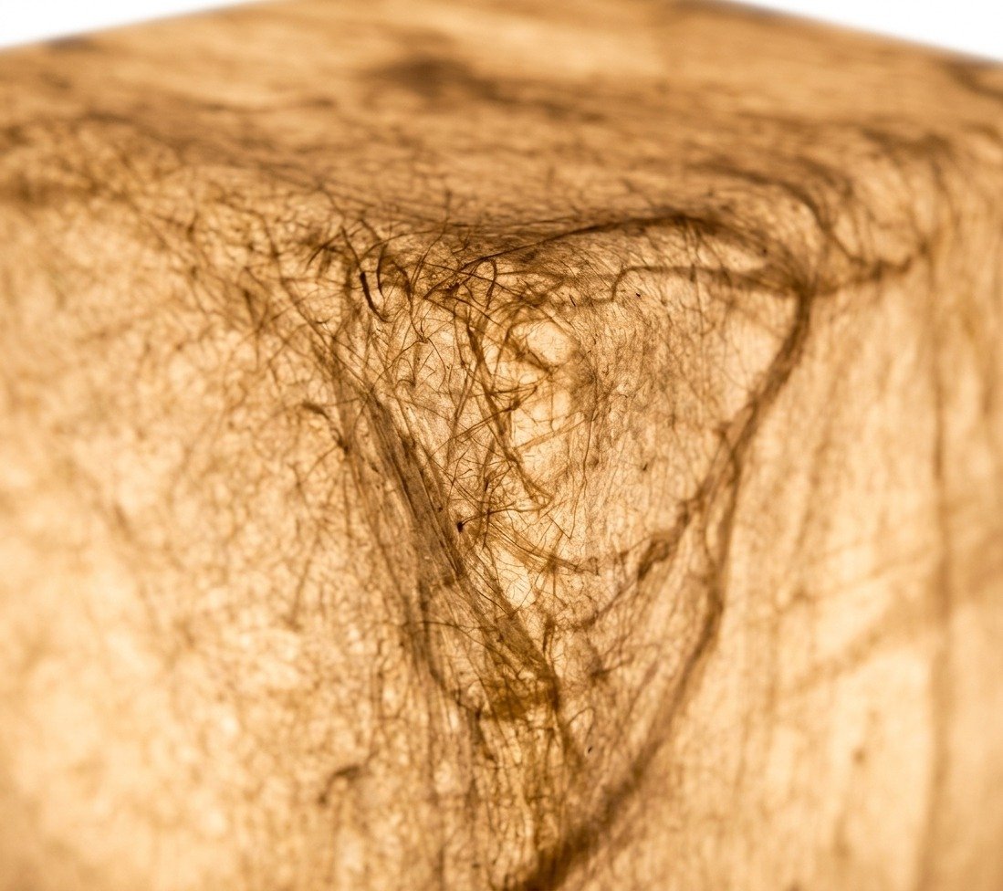 Lámpara de Mesa Cubic en Seda de Morera Natural - image 3